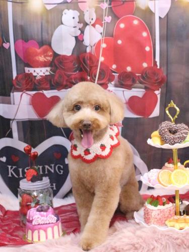 20250218レオくん